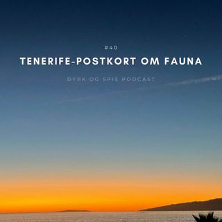 40. Tenerife-postkort om fauna 🌵