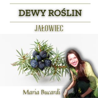 Dewy Roślin -  Jałowiec - ochrona w czasie Ciemności | Maria Bucardi
