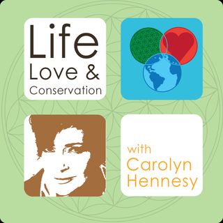 Life Love and Conservation Ep 4 - Carolyn Hennesy talks about Theater her Dad and Uganda