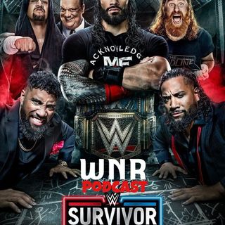 WNR451 WWE SURVIVOR SERIES WARGAMES