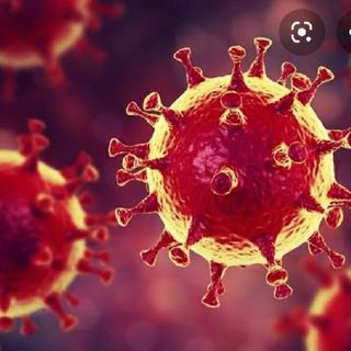 Pandemia Del Coronavirus