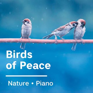 Birds Of Peace