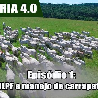Websérie: Agropecuária 4.0 EP 01- Fazenda é exemplo de ILPF e manejo preventivo de parasitas