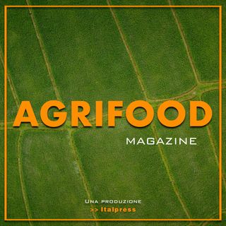 Agrifood Magazine