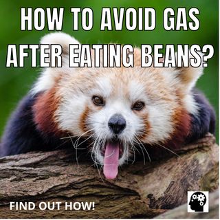 Natural Ways to Deal With Gas From Eating Beans