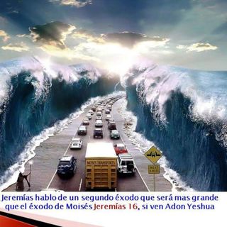 RESTAURANDO VIDAS