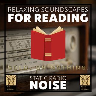 Static Radio Noise | Relaxing Soundscape For Reading | Studying | Concentration | Mindfulness