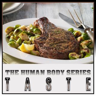 Taste (The Human Body Series)