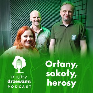 Między Drzewami #35 Orłany, sokoły, herosy [Dariusz Dyl, Mariusz Urban]