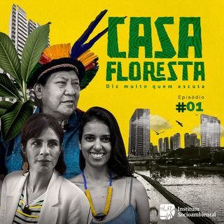 A terra-floresta e a selva de pedra