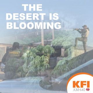 Desert Is Blooming Part 1