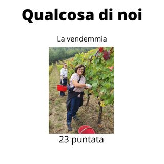 La Vendemmia