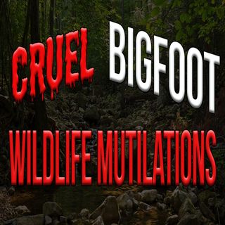 Bigfoot Responsible for Wildlife Mutilations