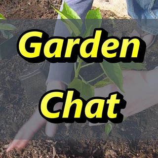 So You Want To Start a Garden?