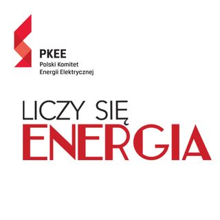 Co motywuje Polaków do oszczędzania energii?