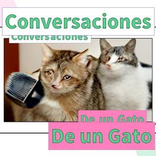 Conversaciones De un Gato