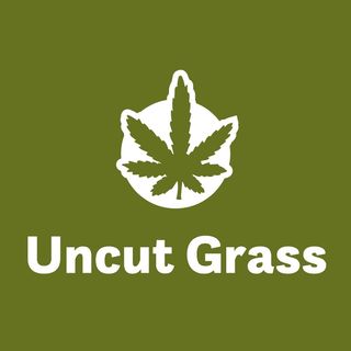 Uncut Grass