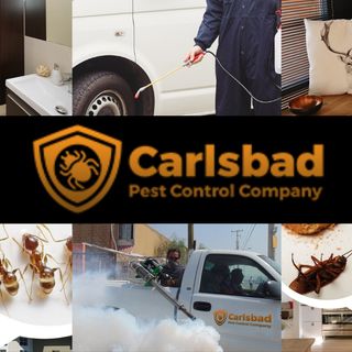 Carlsbad Pest Control Company