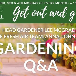 Get Out & Grow with the Happy Homesteaders - Weekly gardening Q&A - 25-07-22
