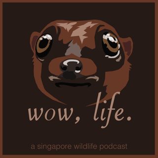 #4 | Singapore's Best Survivor