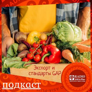 Экспорт сельхозпродукции Таджикистана. Как не потерять важную нишу