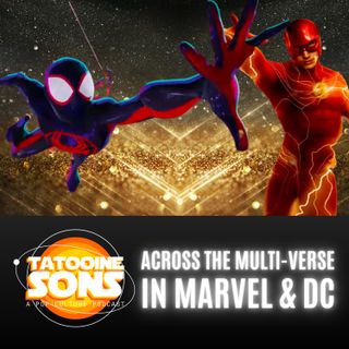 Across the Multi-Verse in Marvel and DC