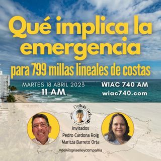 Que Implica la emergencia: Las costas