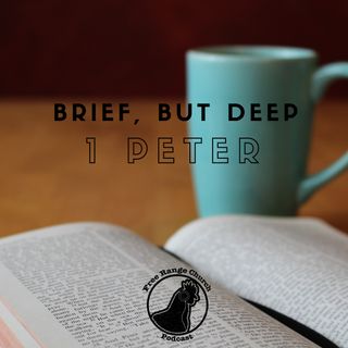 Episode 246 - What The Holy? - 1 Peter 1