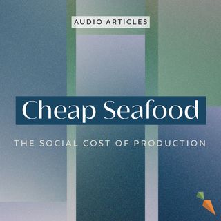Cheap Seafood: The Social Cost of Production | FoodUnfolded AudioArticle