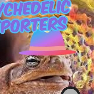 Psychedelic Reporters Episode 1 with Bufo Alverius, Kim Cooper, & Cindy Howell