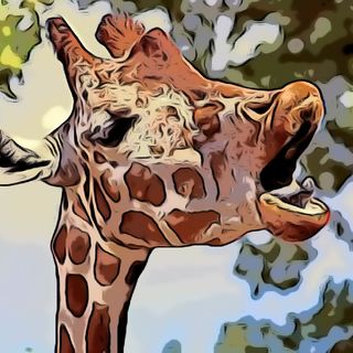 10 The giraffe Learns a lesson