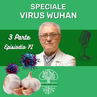 Alimenti utili per combattere i Coronavirus