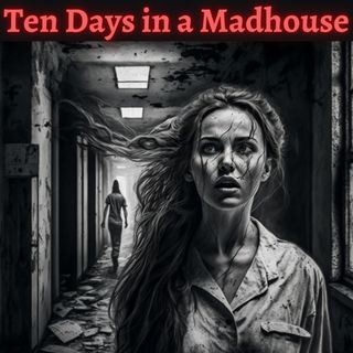 Cover art for Ten Days in a Madhouse