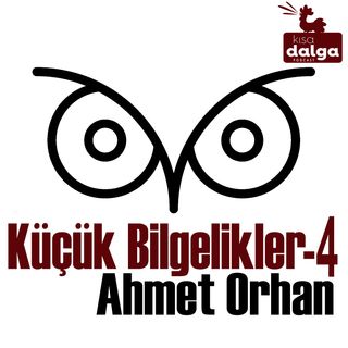 Küçük Bilgelikler 4: ODTÜ'den Patagonya'ya "başka bir kariyer mümkün"
