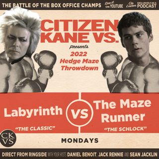 Labyrinth vs The Maze Runner