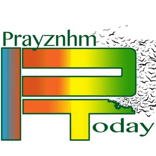 Prayznhm Today