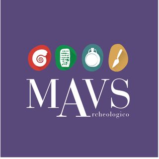 MAVS GAVARDO