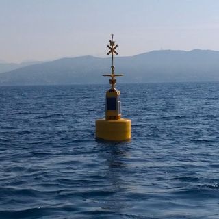 La boa "acchiappa tsunami"