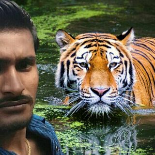 Rock Star Manoj Kumar