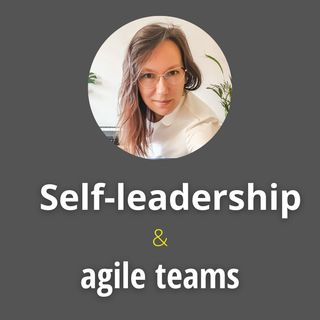 SL&AT 1: How to lead yourself and to lead the team?