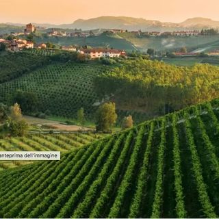 6th UNWTO Global Conference on Wine Tourism.