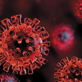 ¿El coronavirus se elimina al inhalar vapor a más de 50 grados?