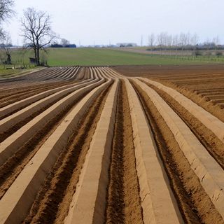 Informare i giovani sulla PAC, passaggio obbligato per un’agricoltura sostenibile
