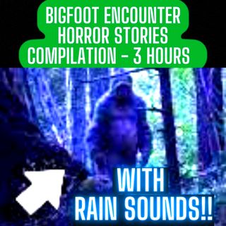 REAL BIGFOOT ENCOUNTER STORIES In The RAIN! Goodnight!  3 HOUR COMPILATION