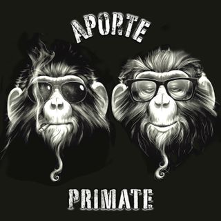 T01 Ep15 - 안녕하세요 & Jornal Primate.