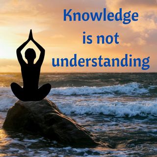Knowledge is not understanding