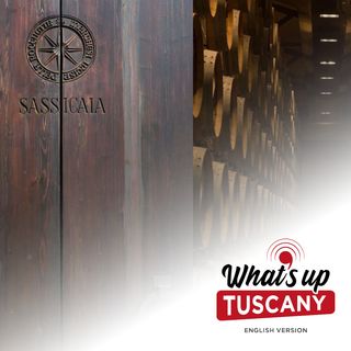 Sassicaia, the alien wine that shocked the world - Ep. 102