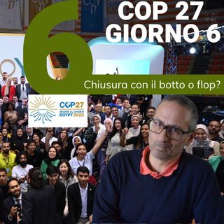 COP27 le decisioni prese, è stata davvero un flop?
