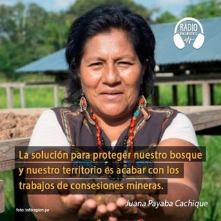 #Defensoras: Juana Payaba y la comunidad shipiba Tres Islas frente a la minería y tala ilegal