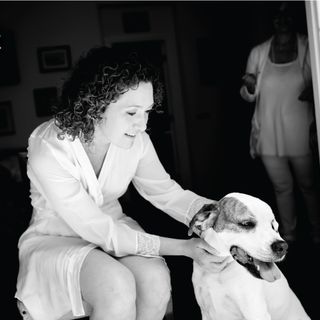 67_Cani al matrimonio